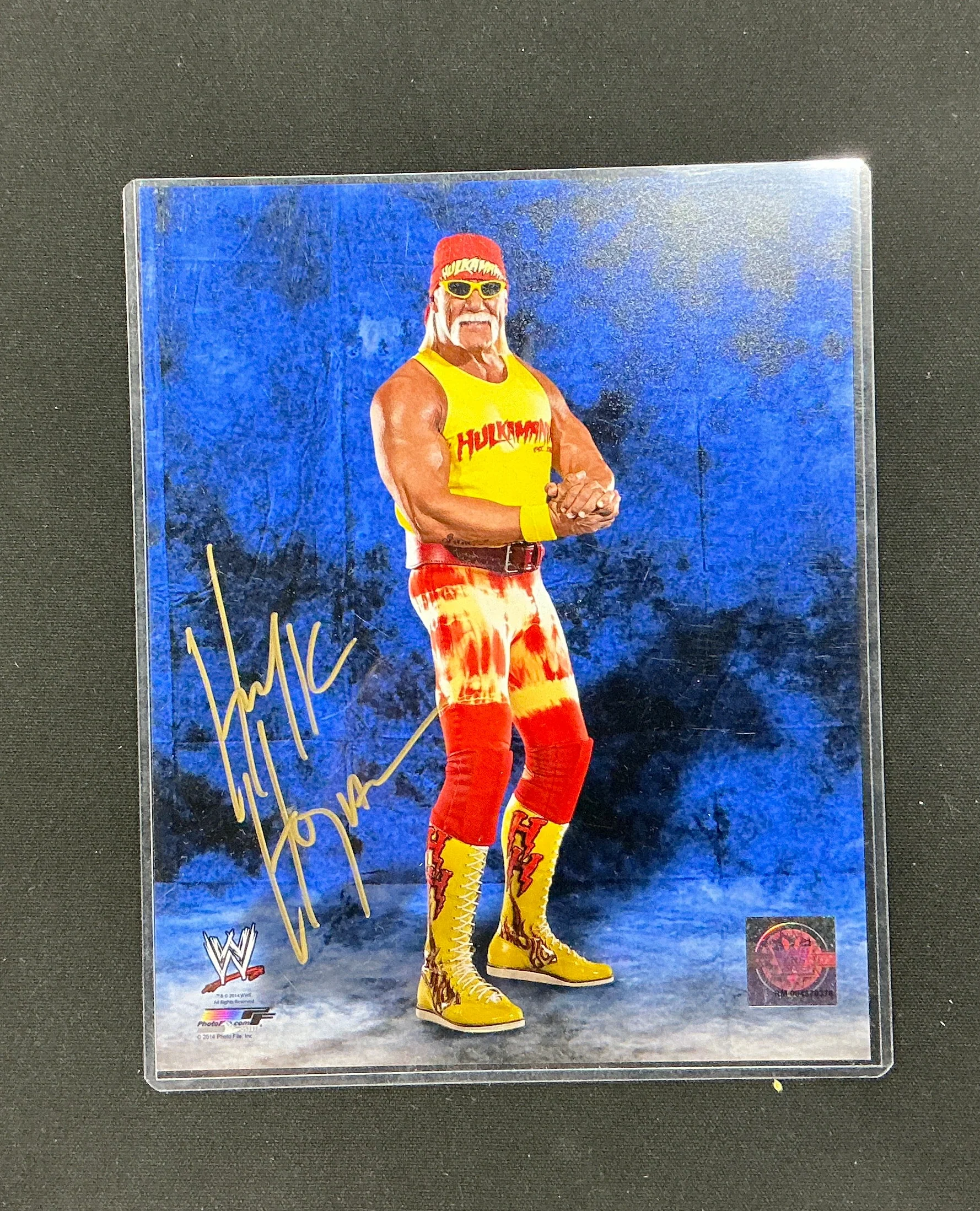 Consignment SR - Hulk Hogan Hollywood Side Flex Signed 8x10 Photo