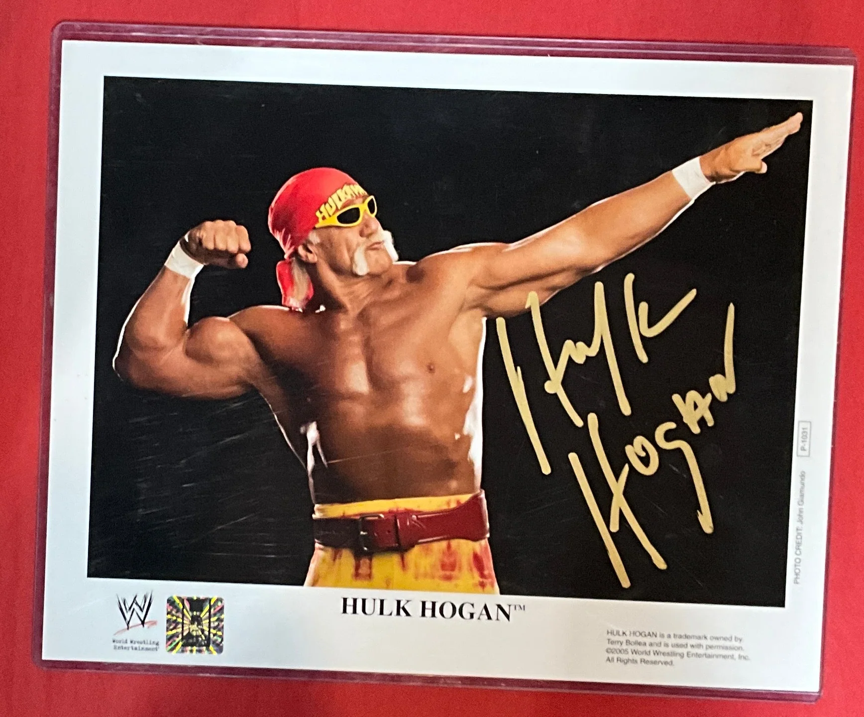 Original Promo WWE Bow N Arrow Autographed 8x10 Photo - Image 2