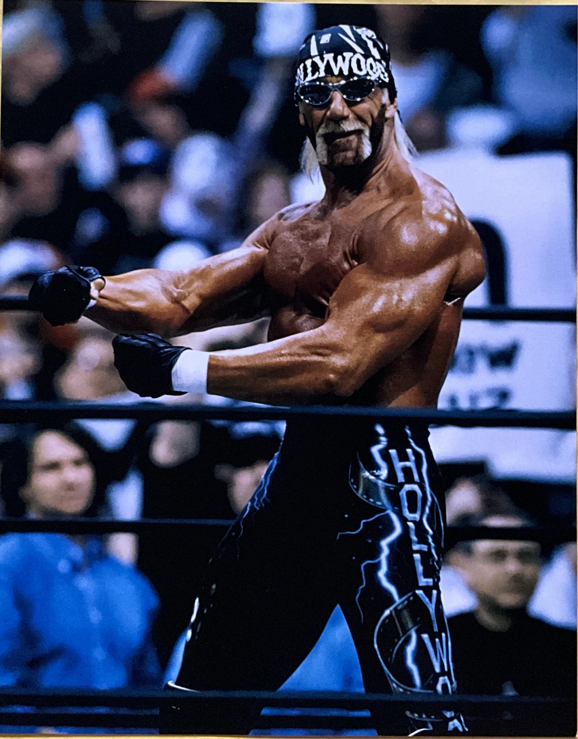 Hollywood Hogan Flame Side Flex 16x20 Unsigned Poster