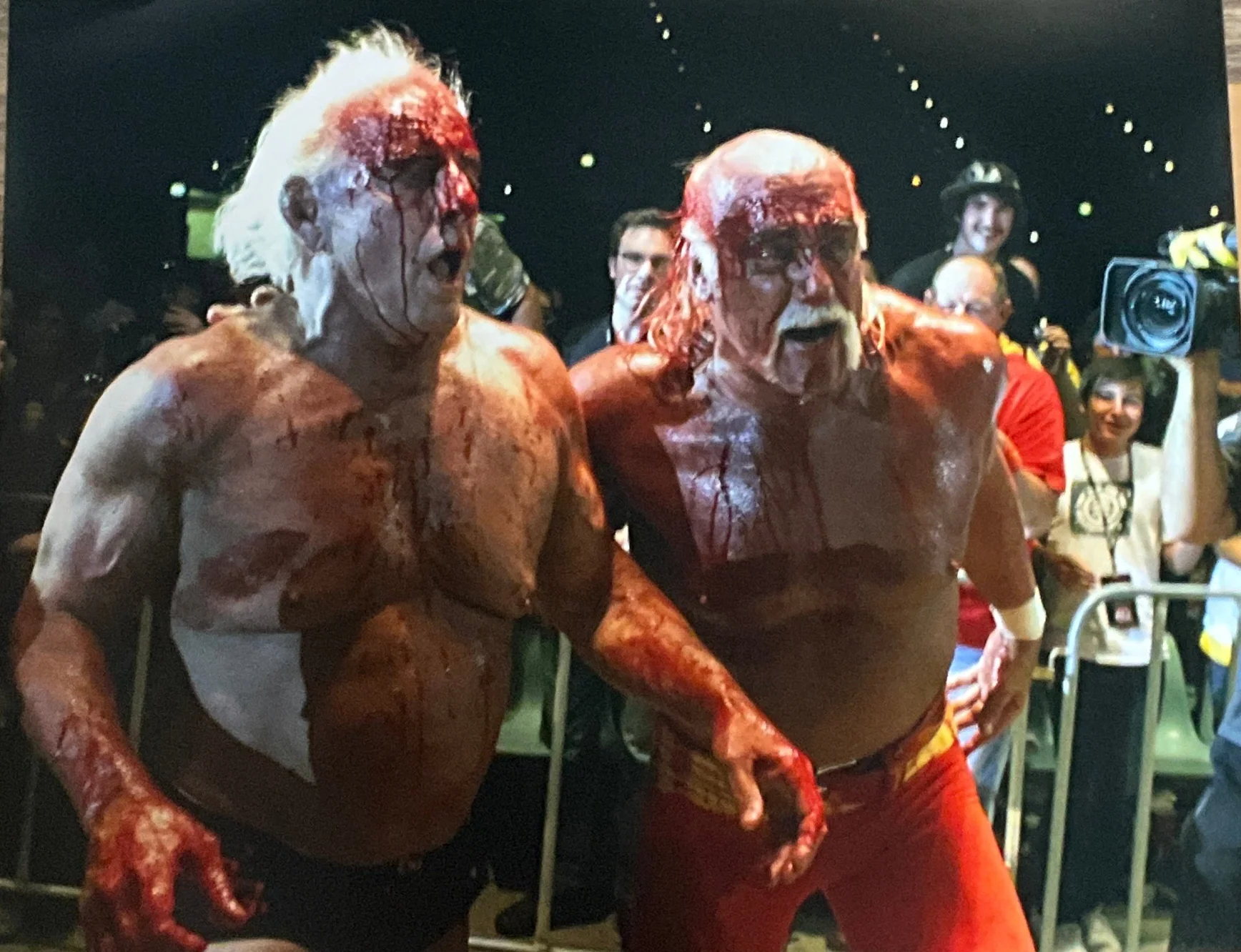 Hulk Hogan And Ric Flair Bloody 16x20 Poster UNSIGNED