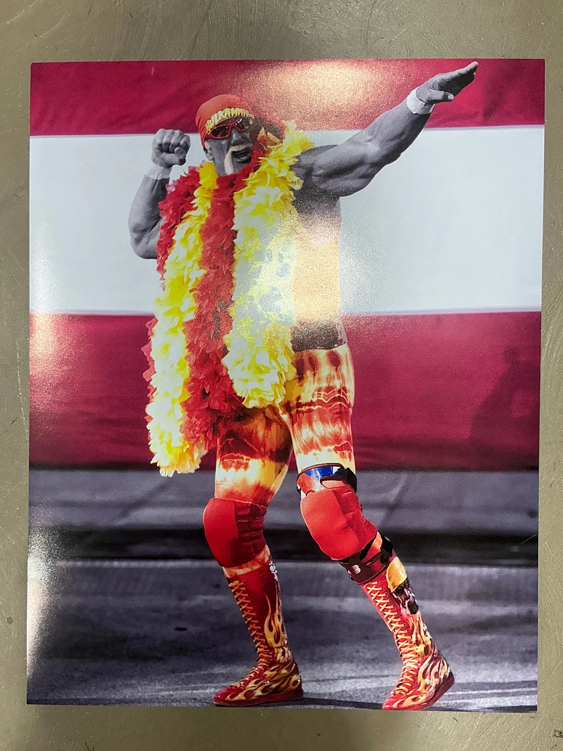 Hulkamania Flag & Boa Bow and Arrow 16x20 Poster UNSIGNED