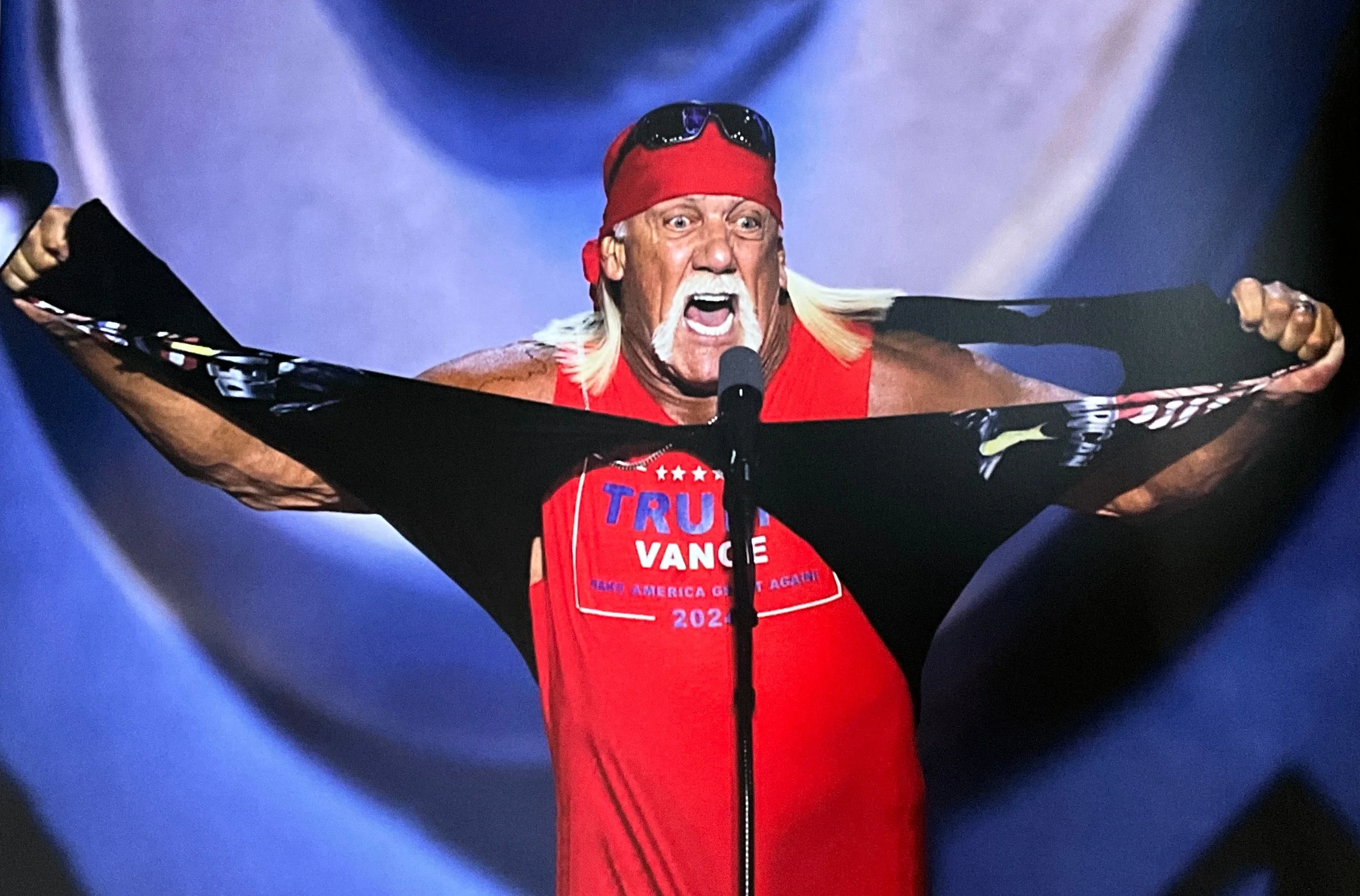 Trumpamania Hulk Hogan Shirt Rip 16x24 Poster UNSIGNED